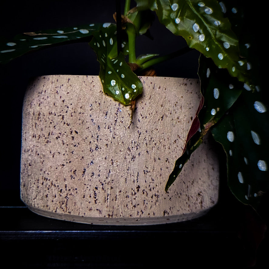 Plantpot holder - Yellow spotted clay, rough and textured finish