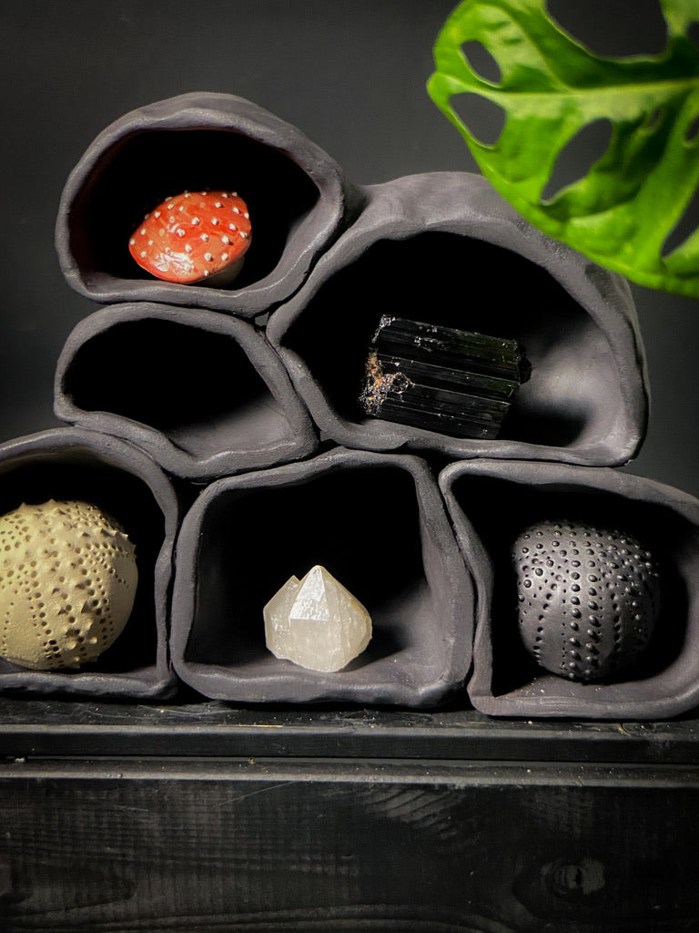 Treasure shelf