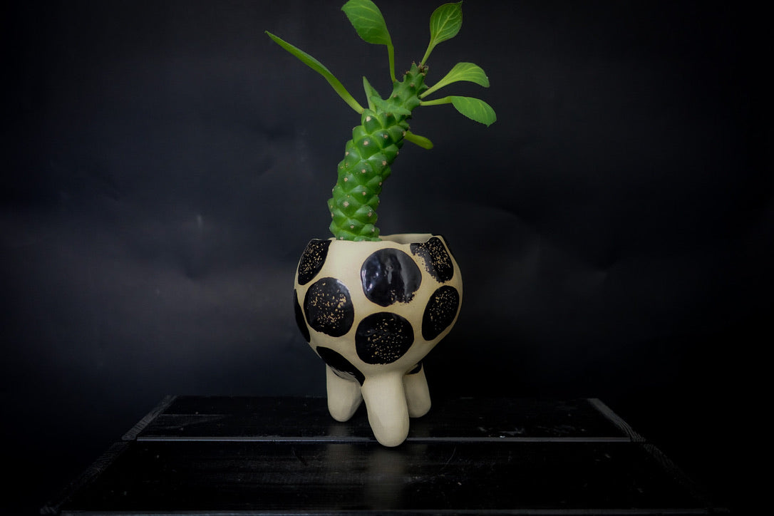 Plantpot holder with three legs - White clay with big shiny black dots