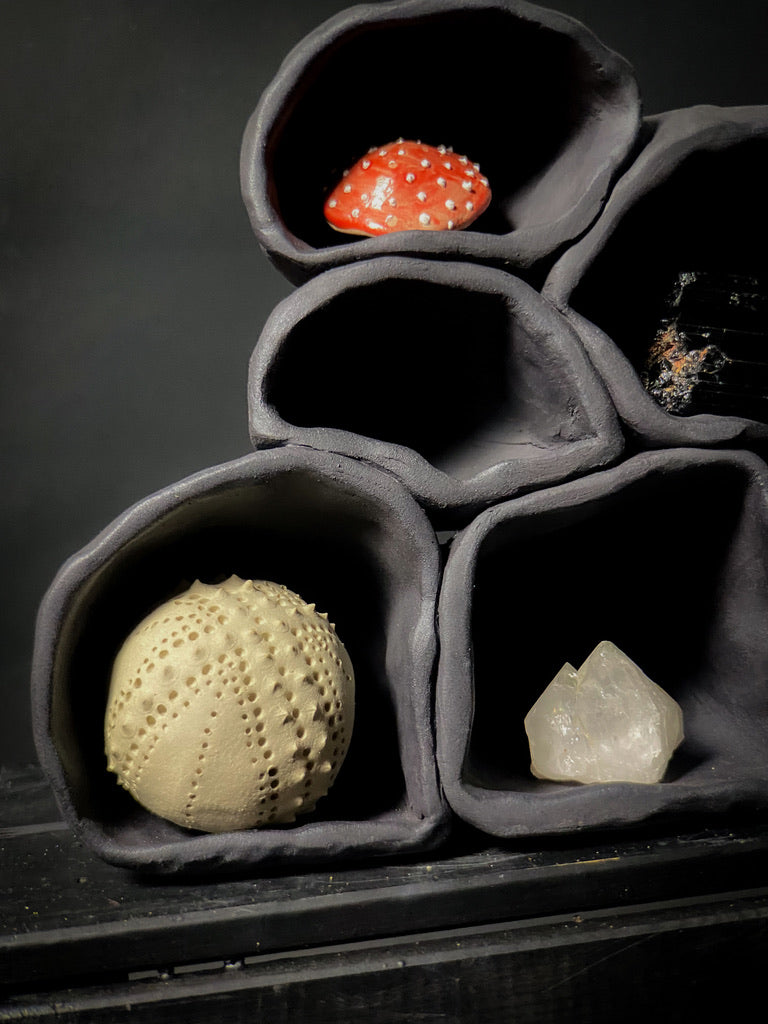 Treasure shelf