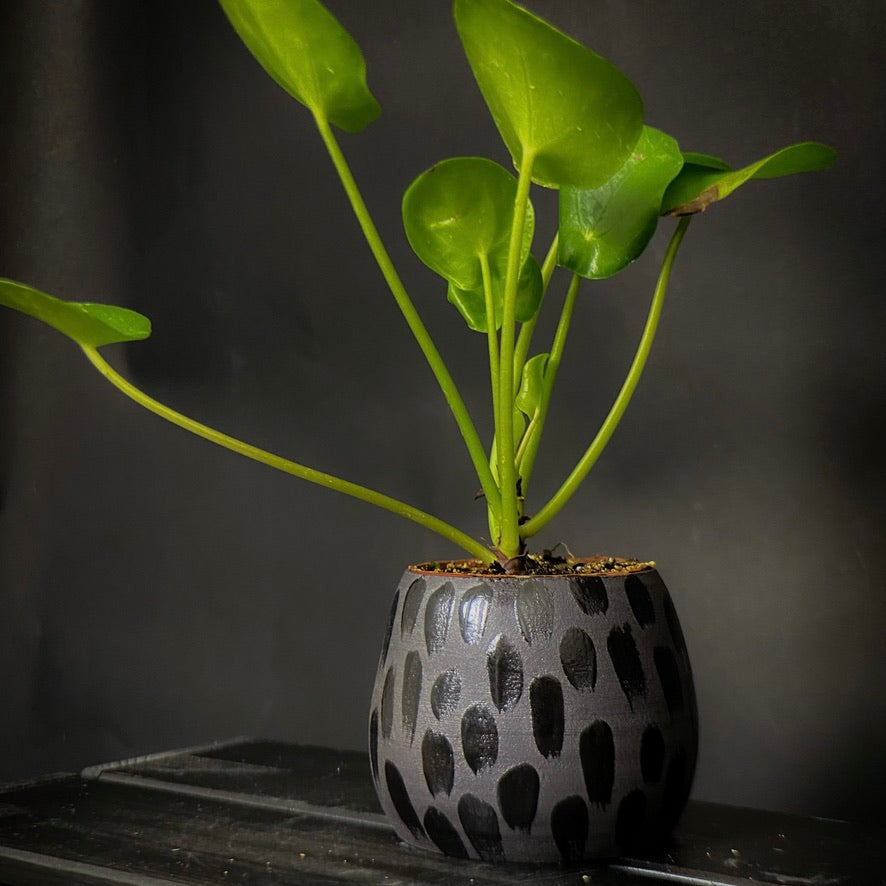 Plantpot holder - Black clay