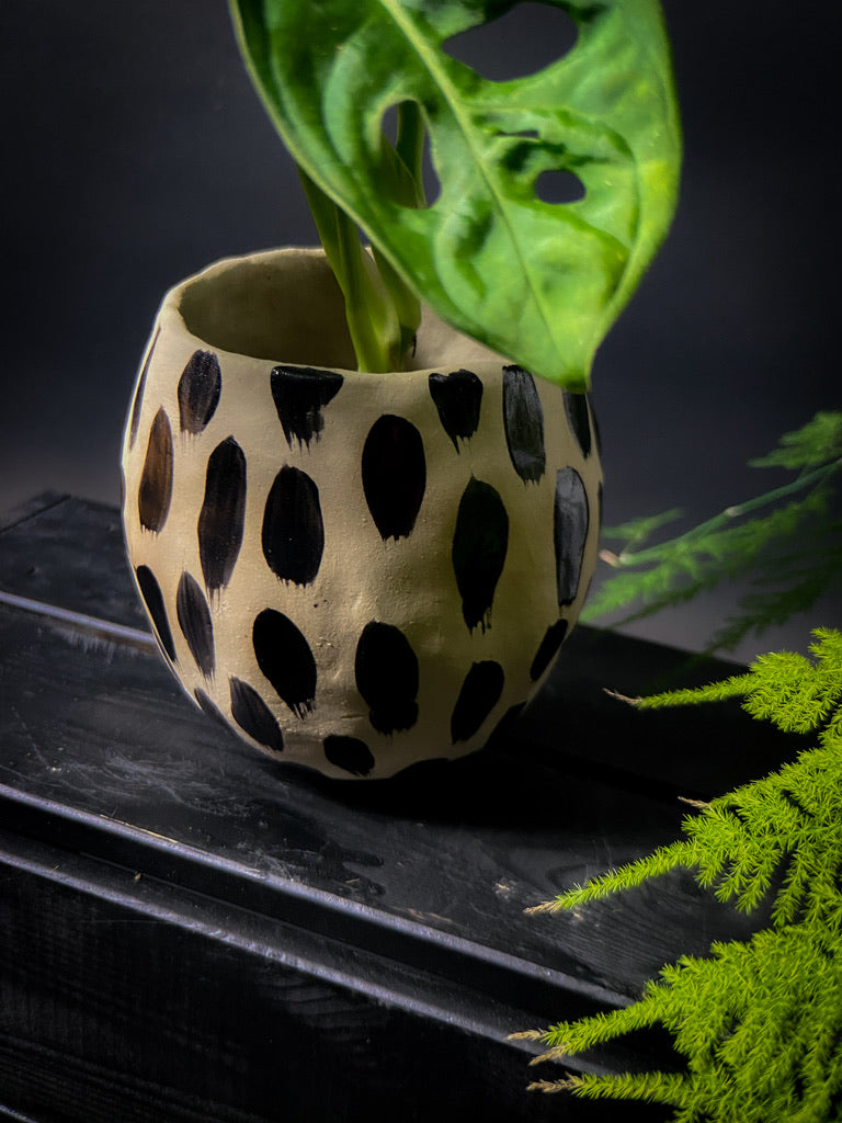 Plantpot holder - Yellow spotted clay decorated with black shiny decoration