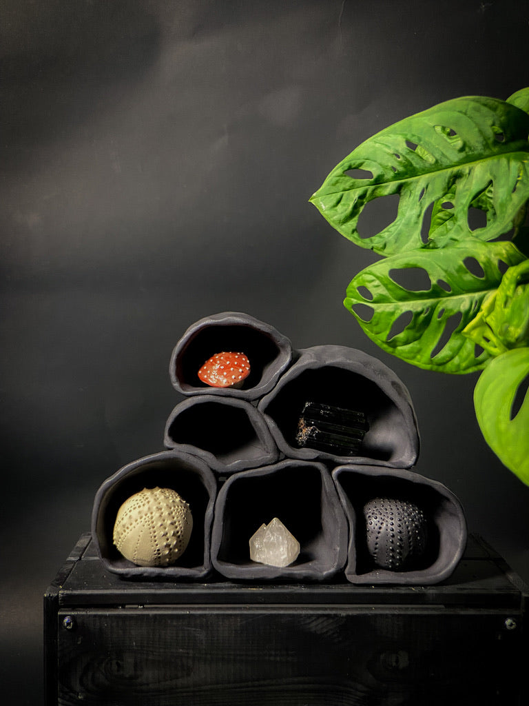 Treasure shelf