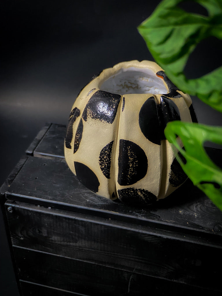 Vase with textured walls - White clay with big black shiny dots