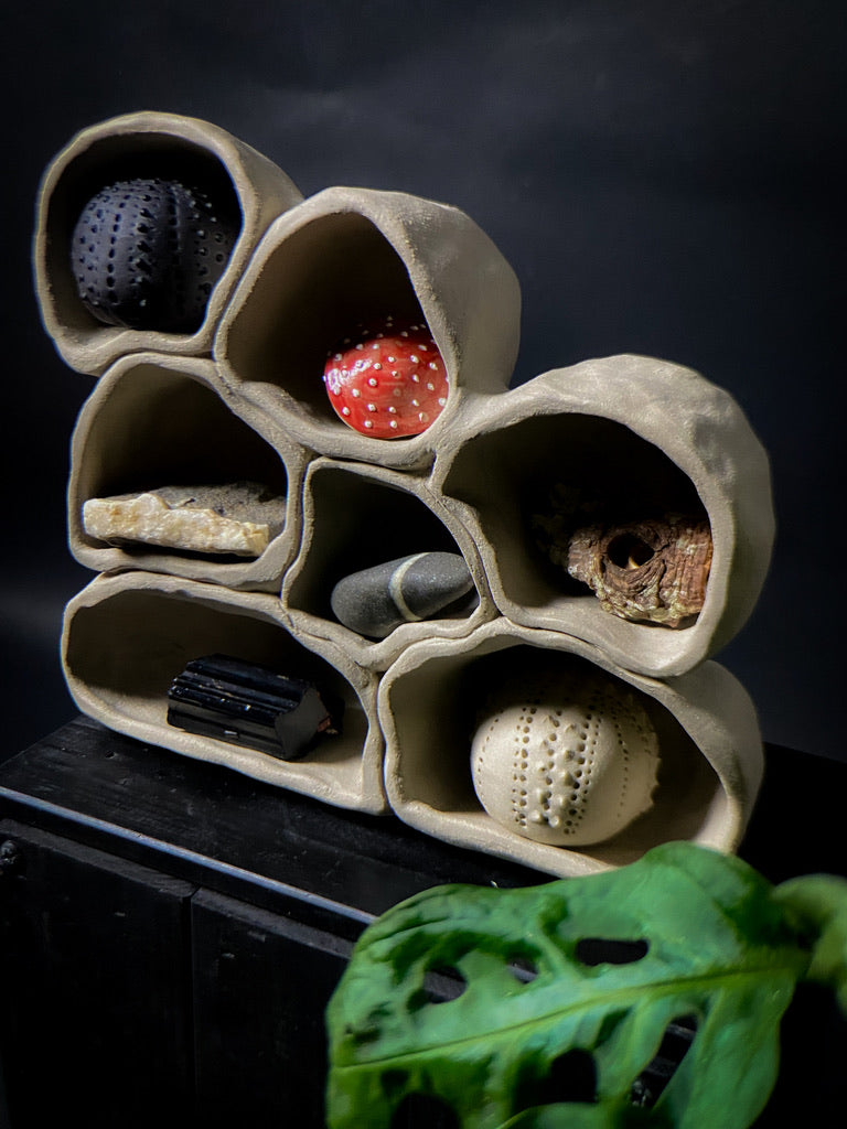 Treasure shelf