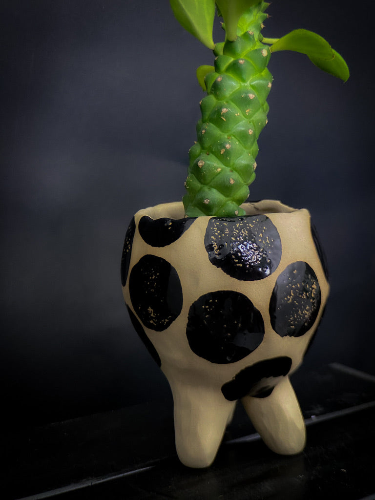 Plantpot holder with three legs - White clay with big shiny black dots
