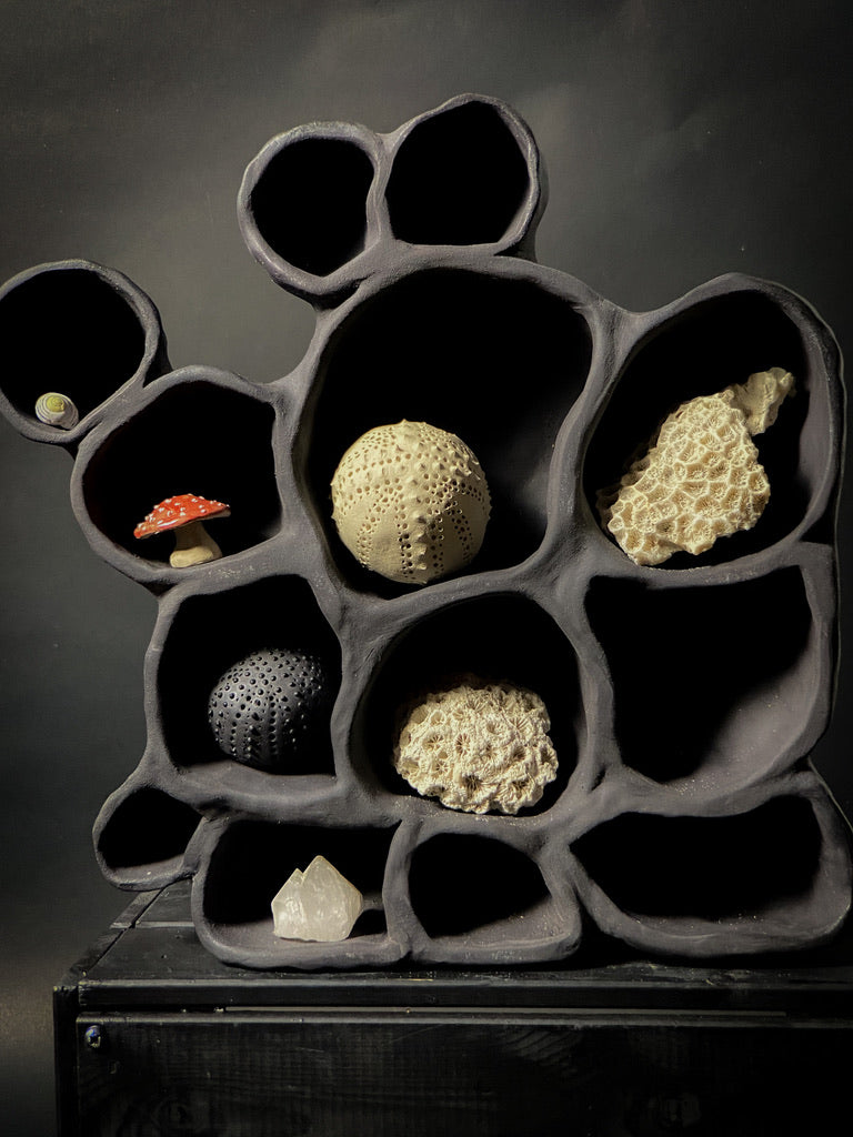 Treasure shelf
