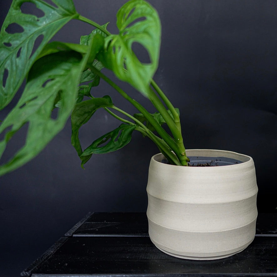 Cache-pot - Argile blanche crème