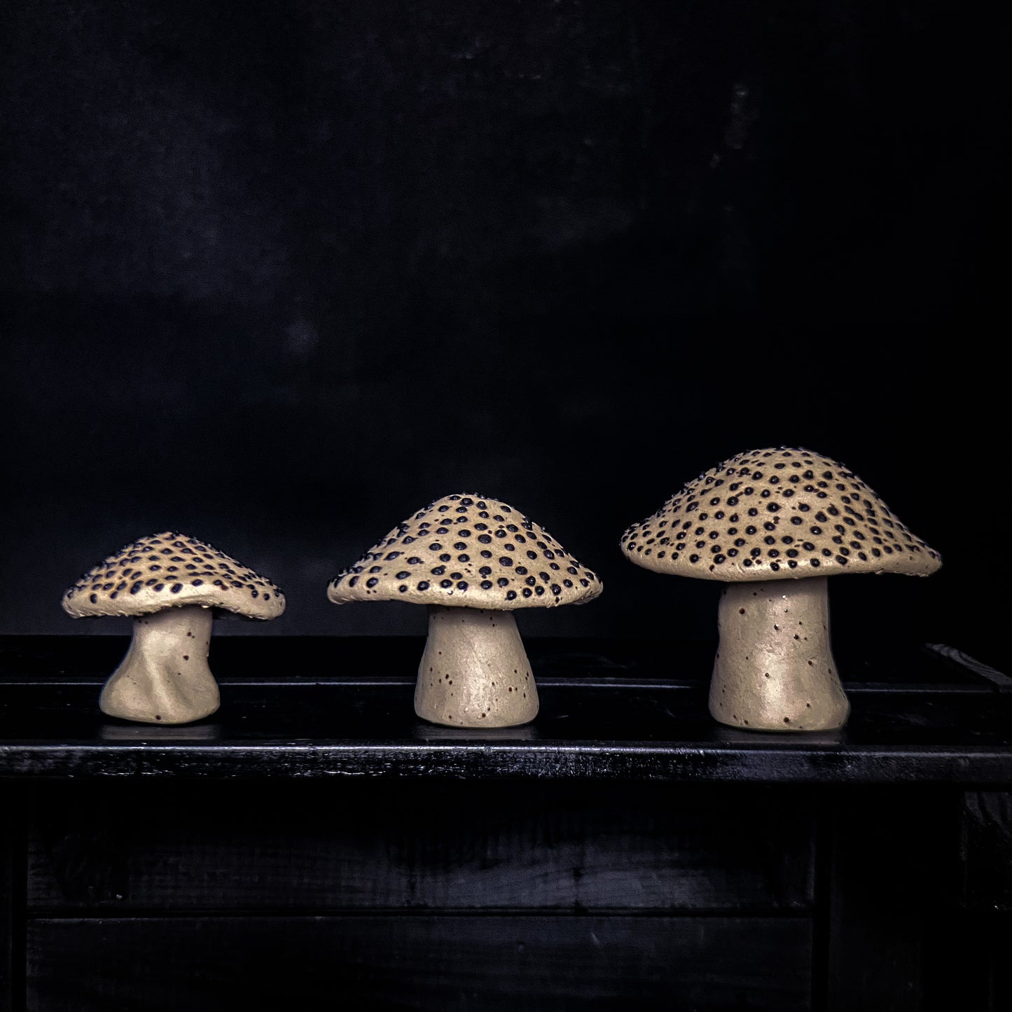 Champignon - Argile tachetée de jaune avec des taches noires - Différentes tailles