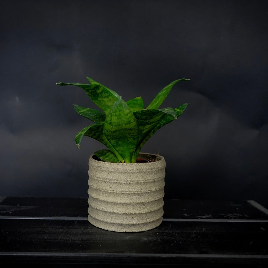 Plantpot holder - Grey pinkish clay