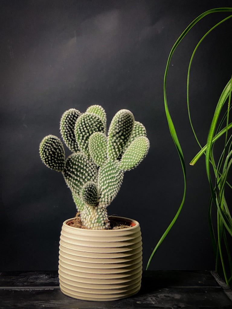 Plantpot holder - White clay with a rough and textured finish