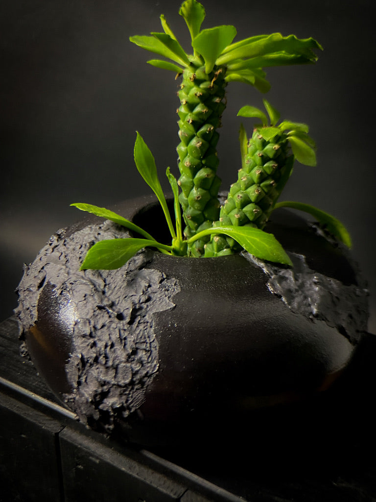 Vase - Black clay with matt black slip