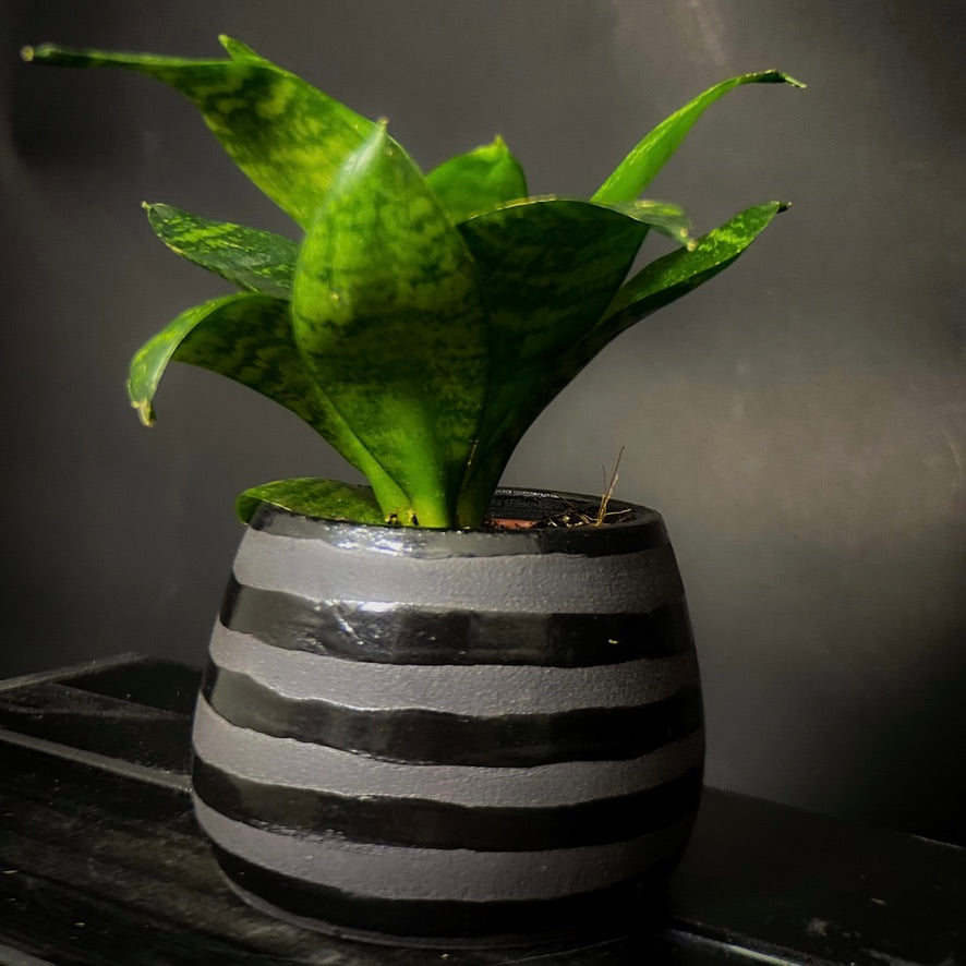 Plantpot holder - Black clay
