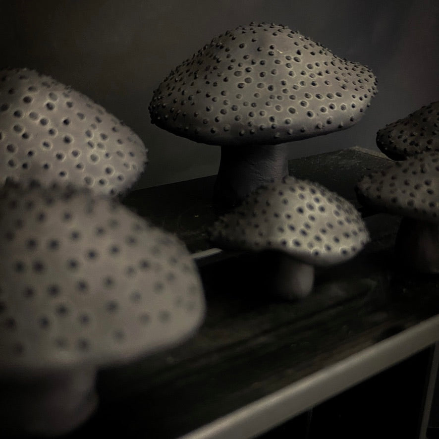 Champignons - Argile noire à pois noirs
