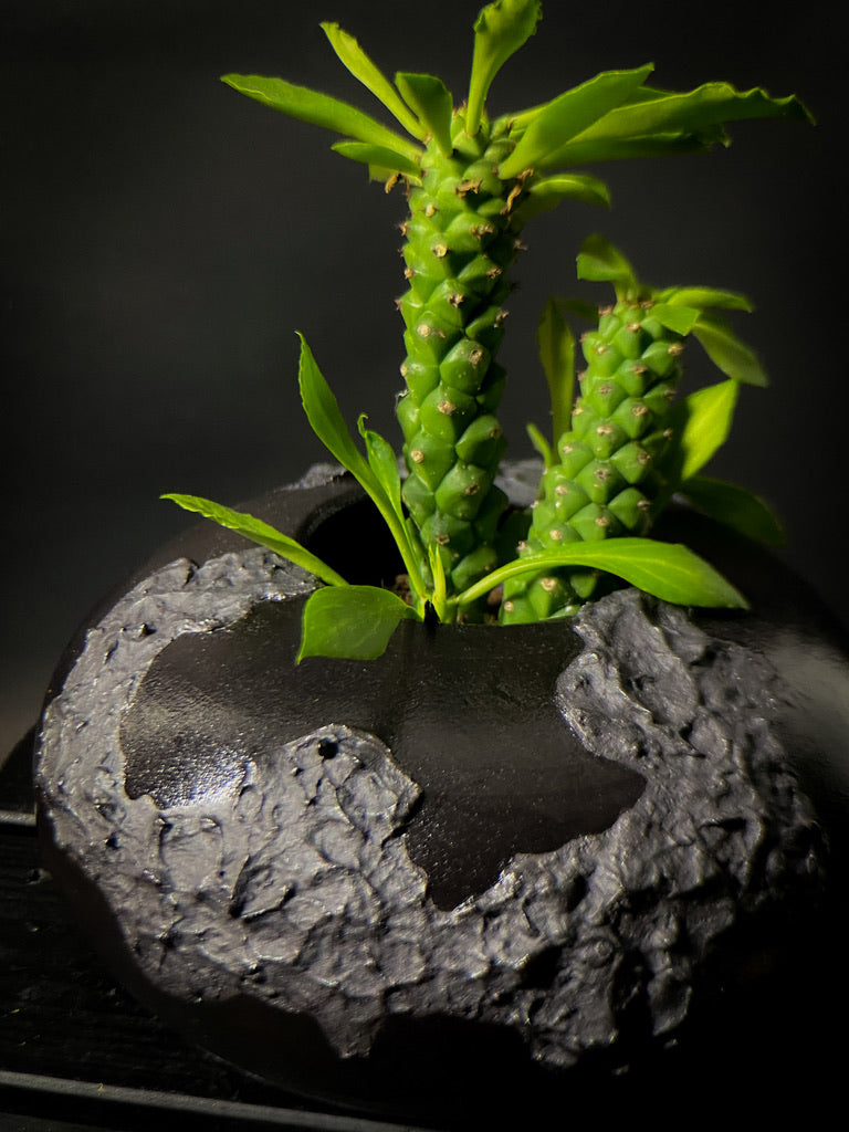 Vase - Black clay with matt black slip