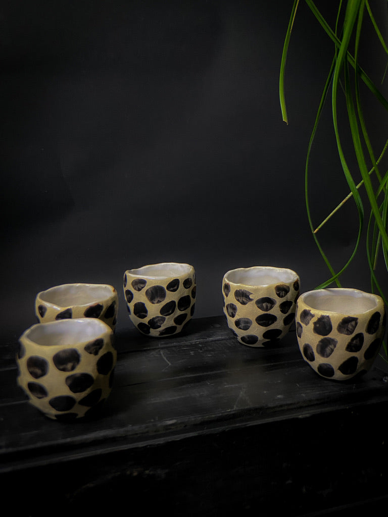 Tasses à expresso