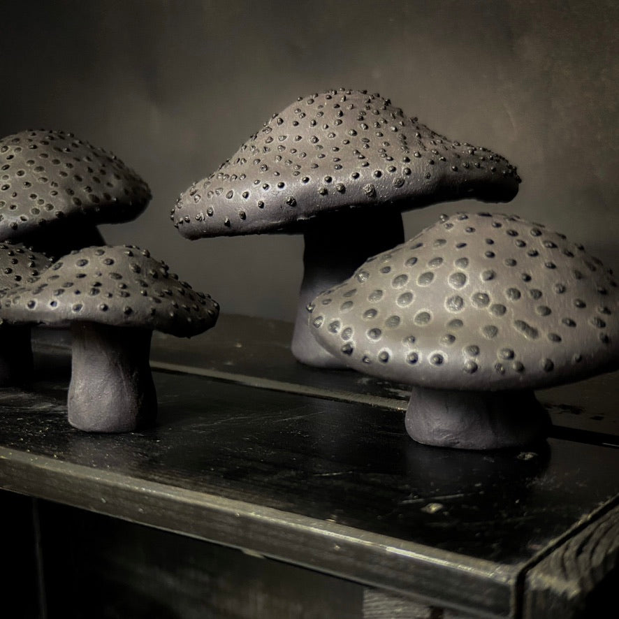 Champignons - Argile noire à pois noirs