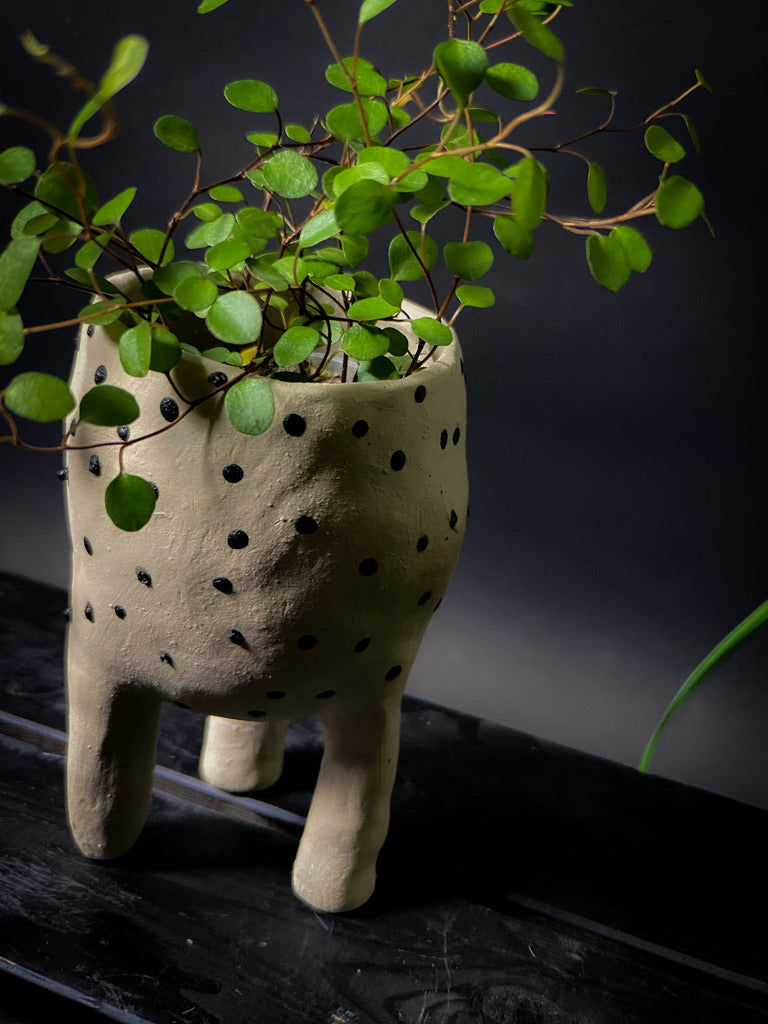 Plantpot holder with three legs - White clay with shiny black dots