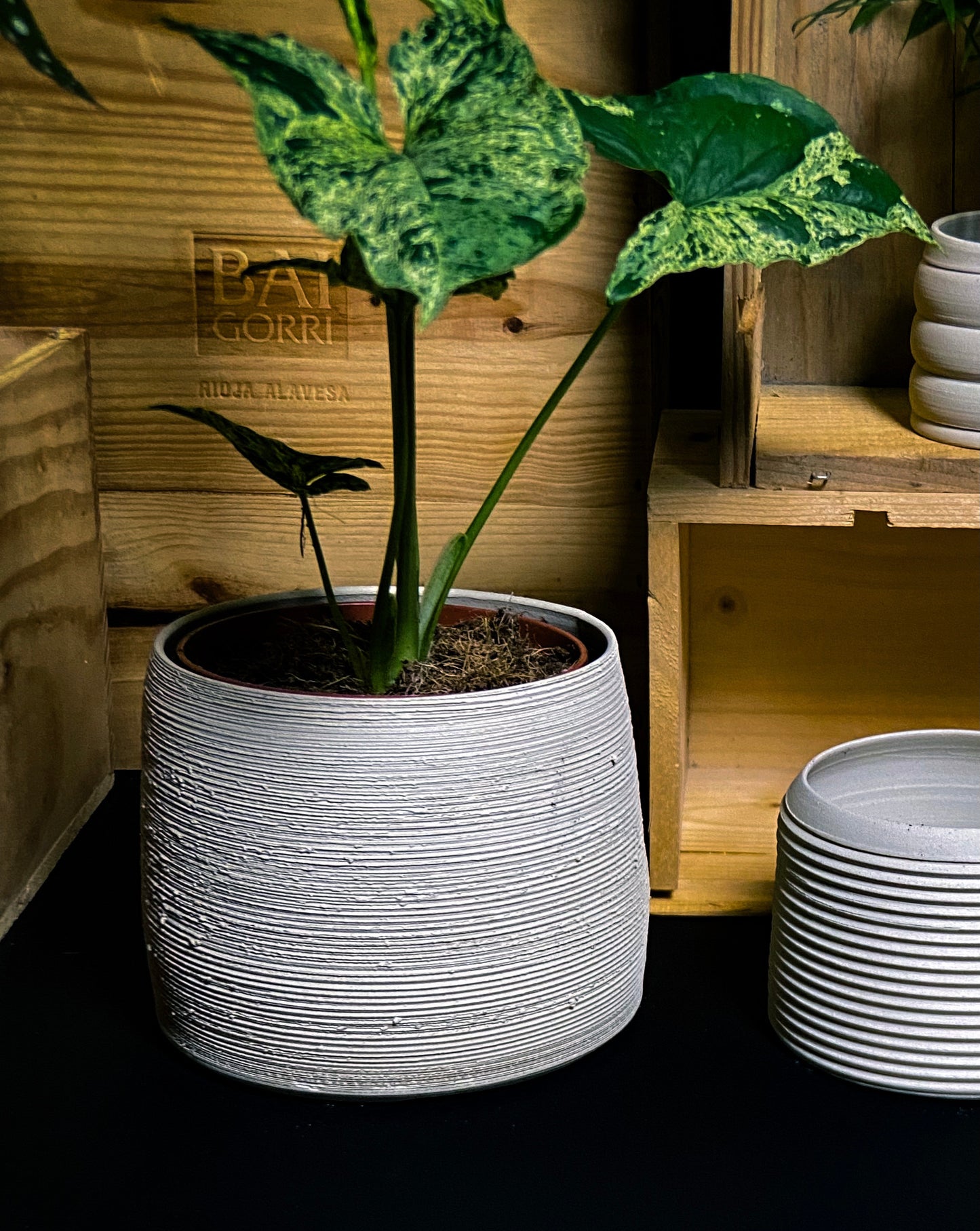 Plantpot holder - White clay with a rough and textured finish