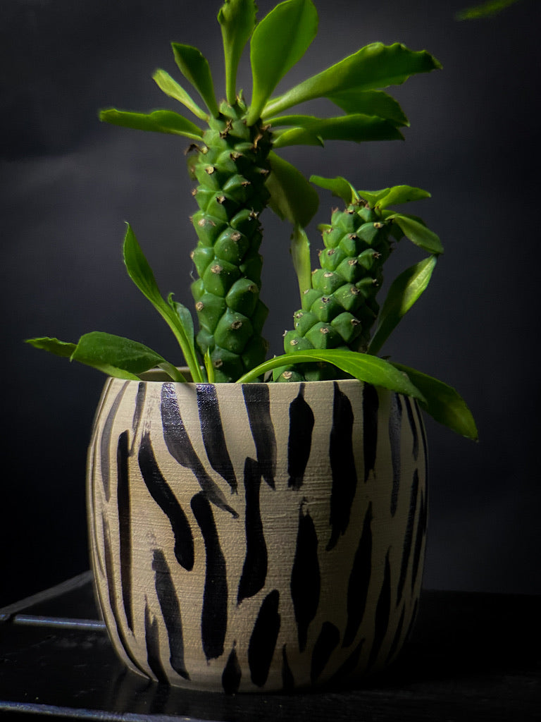 Plantpot holder - Tiger pattern