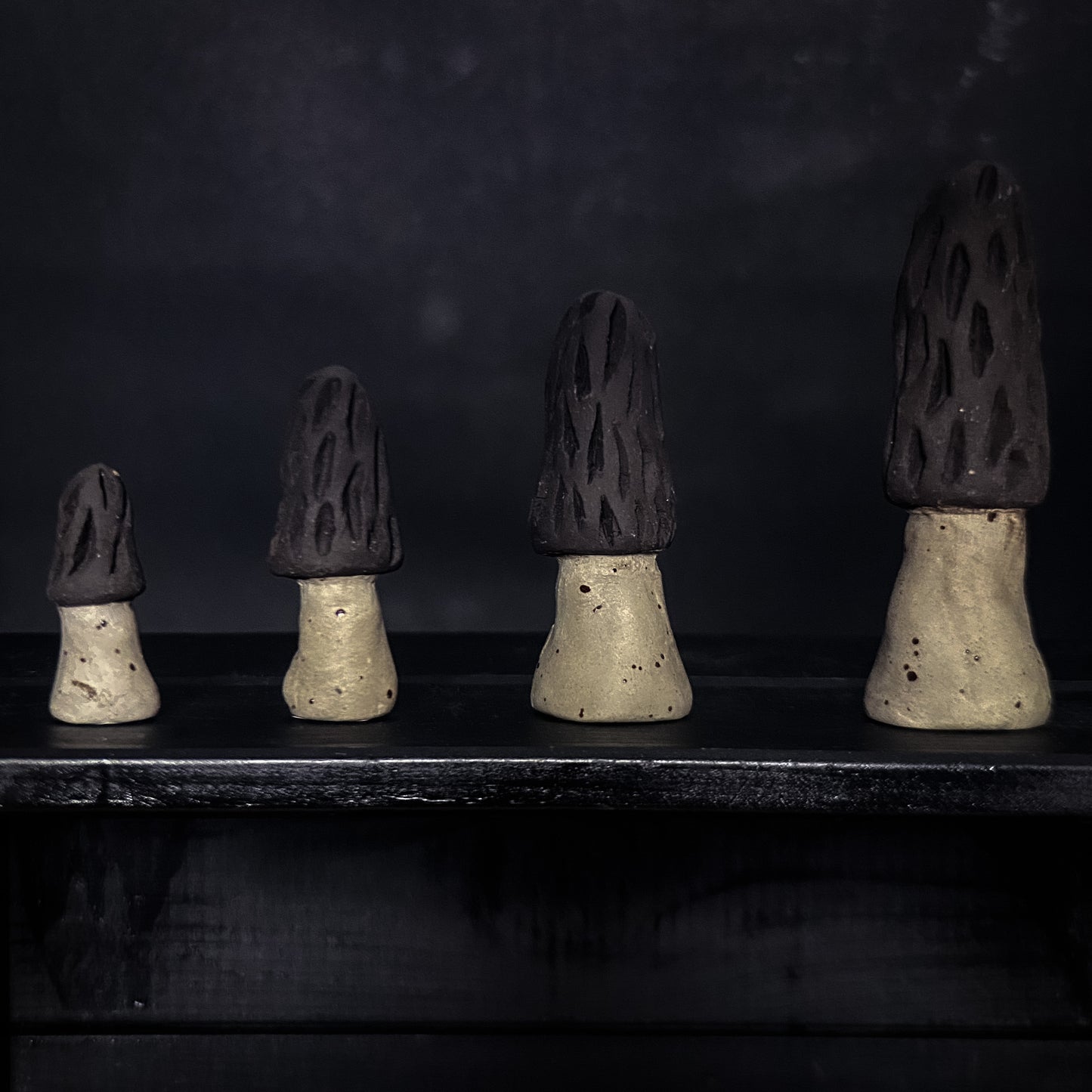 Champignon - Morille - Différentes tailles