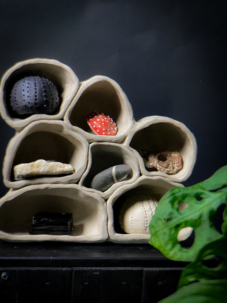 Treasure shelf