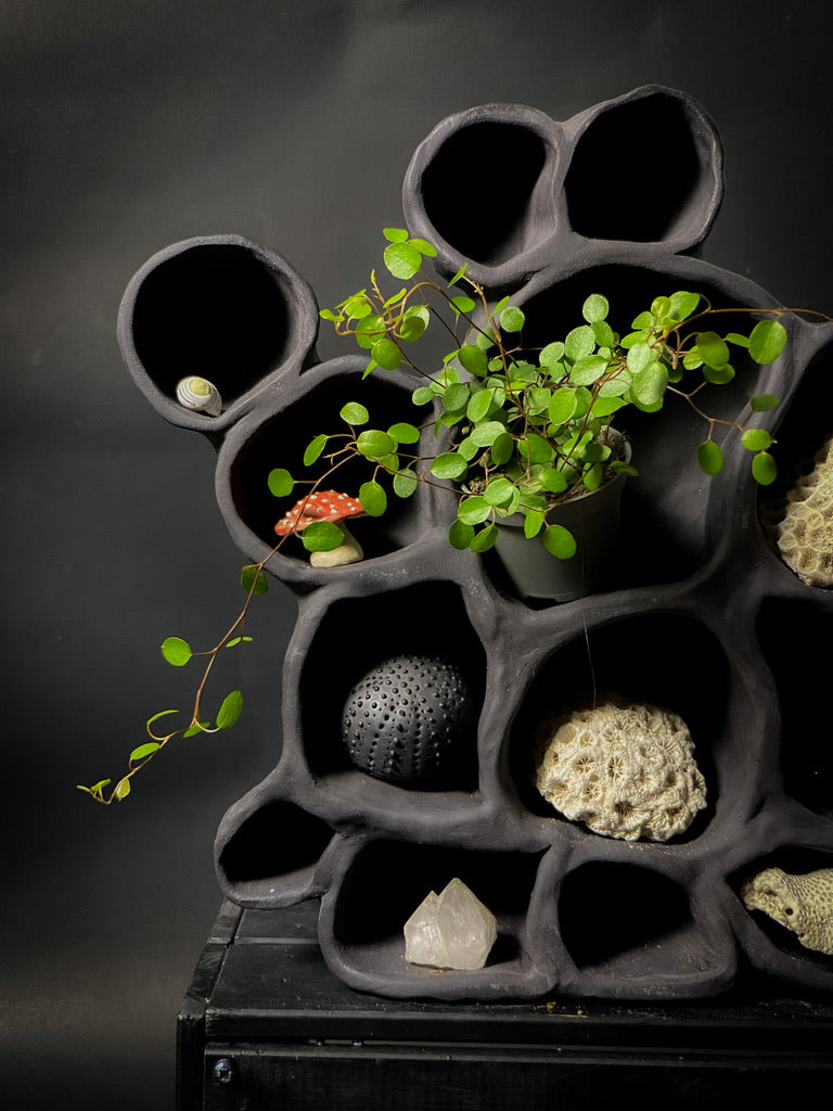 Treasure shelf