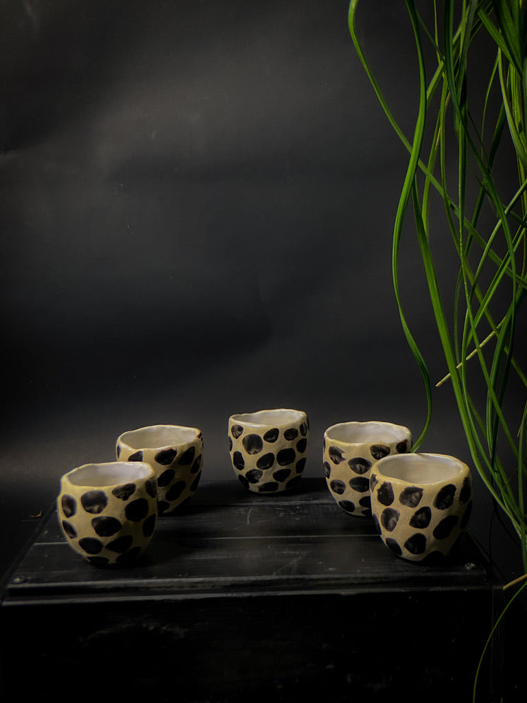 Tasses à expresso