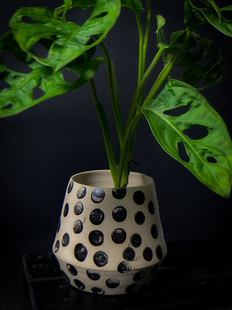 Plantpot holder - White clay with big black dots
