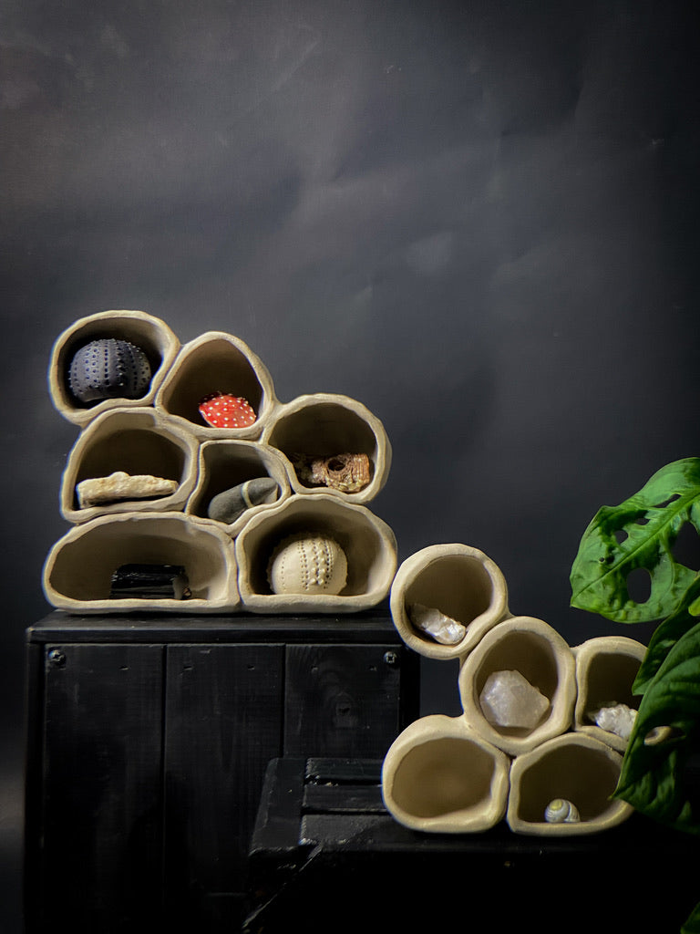 Treasure shelf