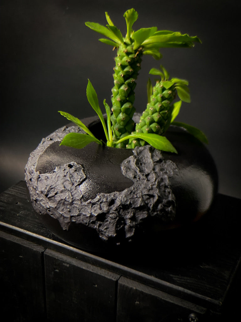 Vase - Black clay with matt black slip