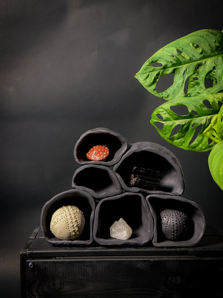 Treasure shelf