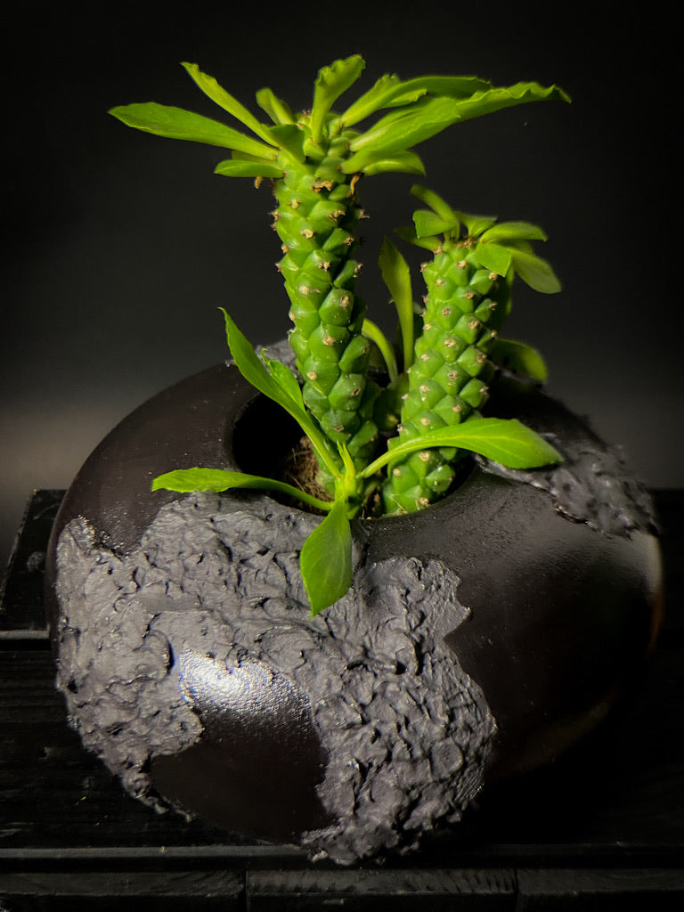 Vase - Black clay with matt black slip