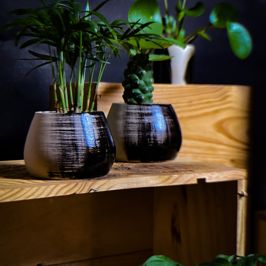 Plantpot holder - Black gradient decoration