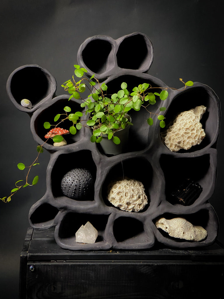 Treasure shelf