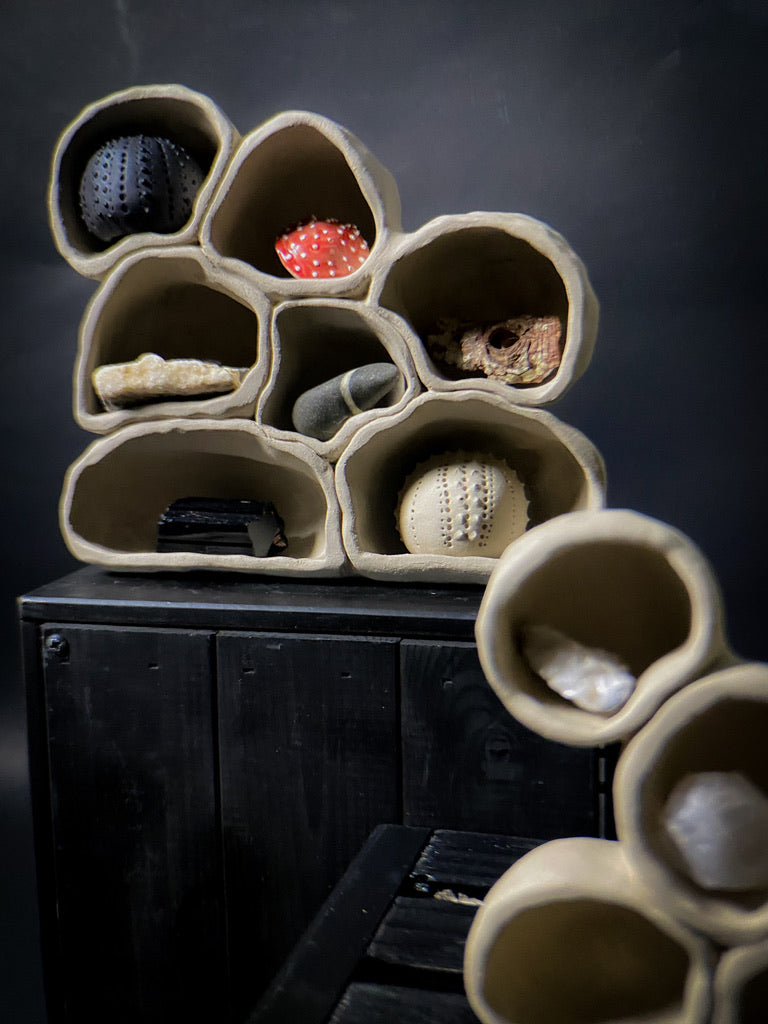 Treasure shelf