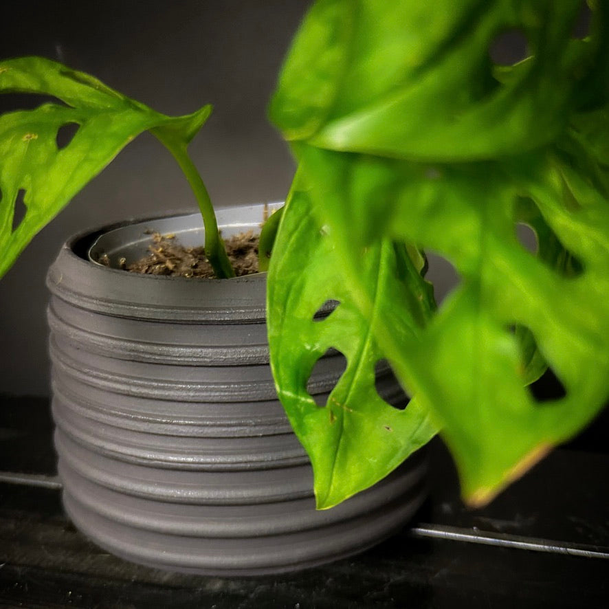 Plantpot holder - Black clay