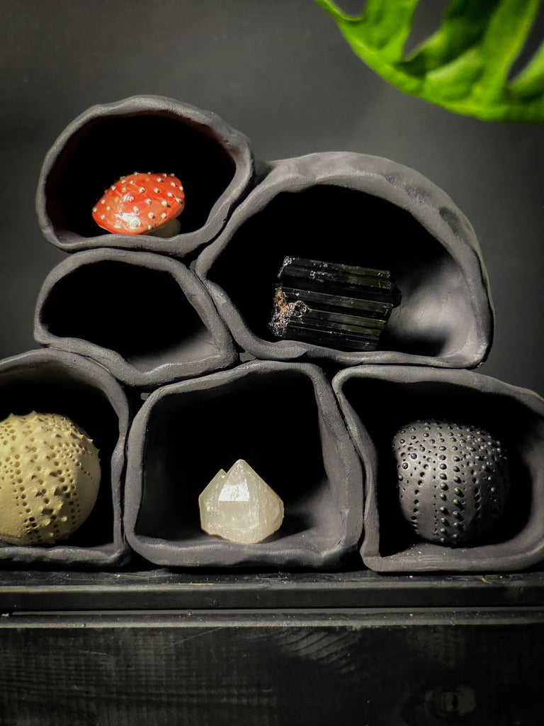 Treasure shelf