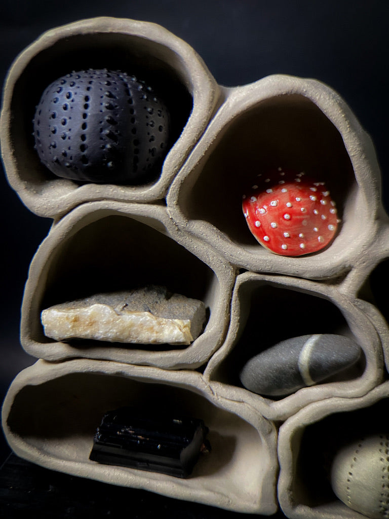 Treasure shelf