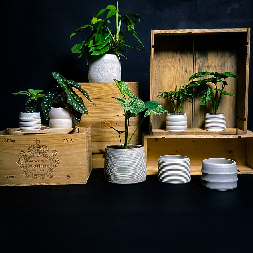 Cache-pot - Argile blanche crème