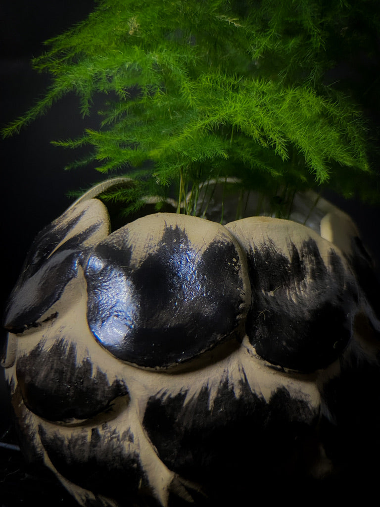 Vase pomme de pin