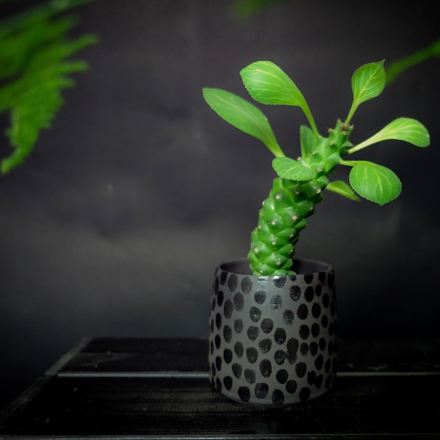 Plantpot holder - Black clay