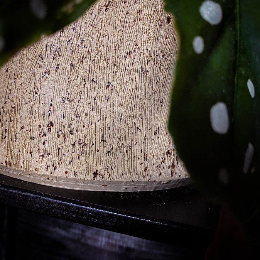 Plantpot holder - Yellow spotted clay, rough and textured finish