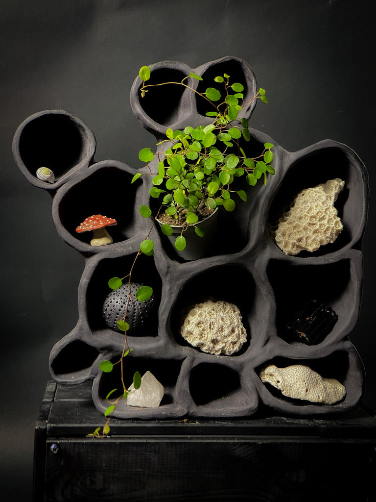 Treasure shelf
