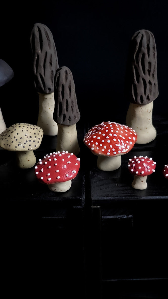Champignon - Rouge à pois blancs - Différentes tailles