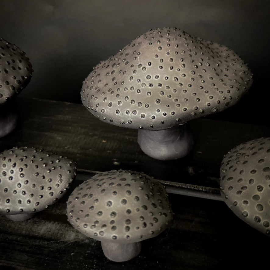 Champignons - Argile noire à pois noirs
