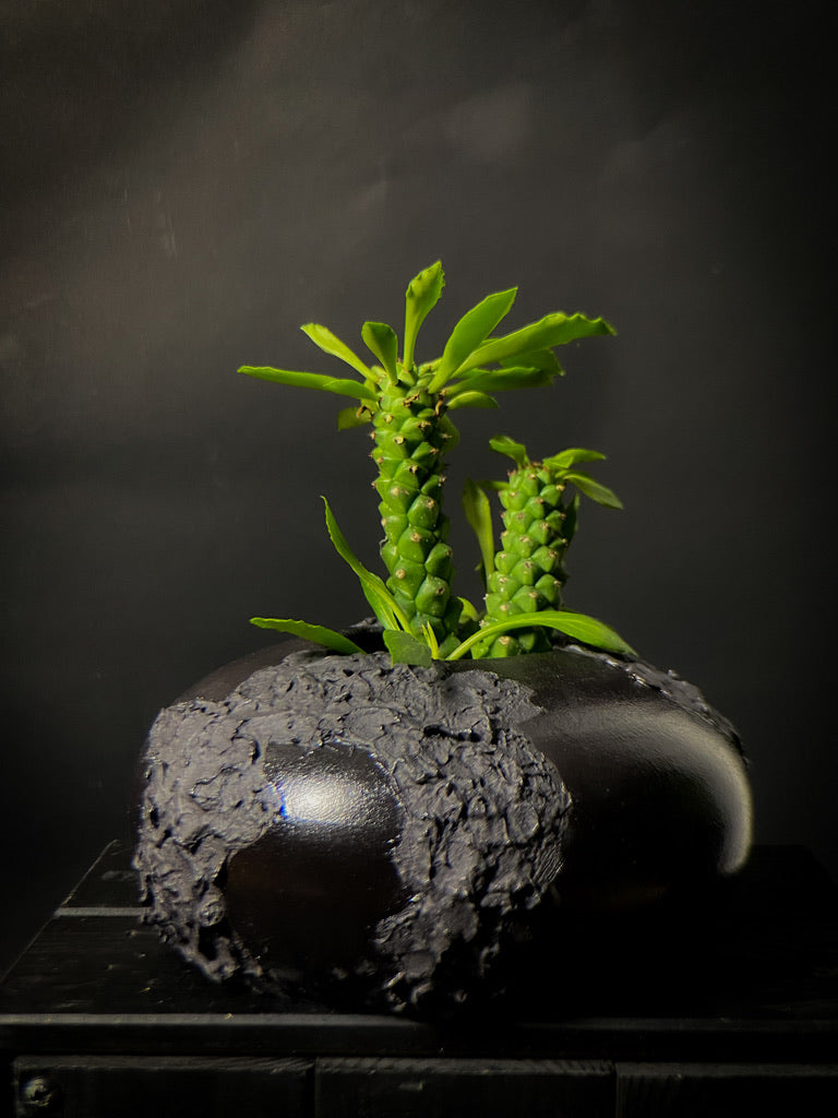 Vase - Black clay with matt black slip
