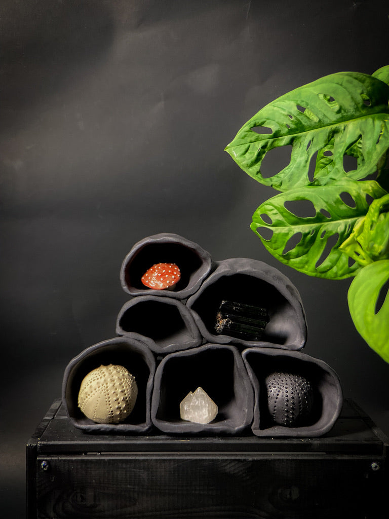 Treasure shelf