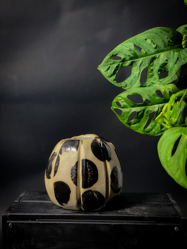 Vase with textured walls - White clay with big black shiny dots
