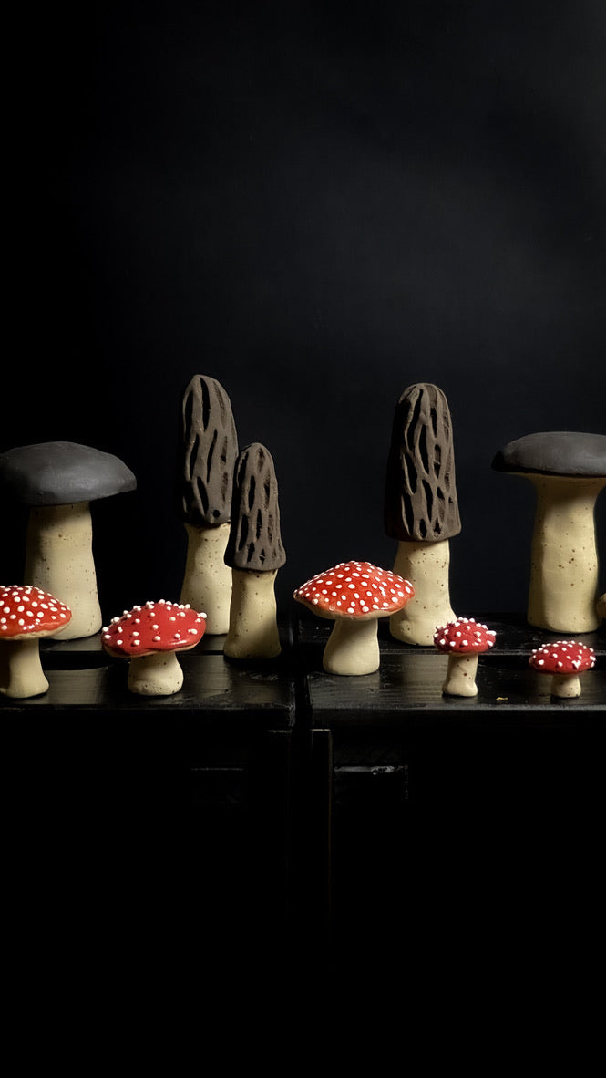 Champignon - Rouge à pois blancs - Différentes tailles